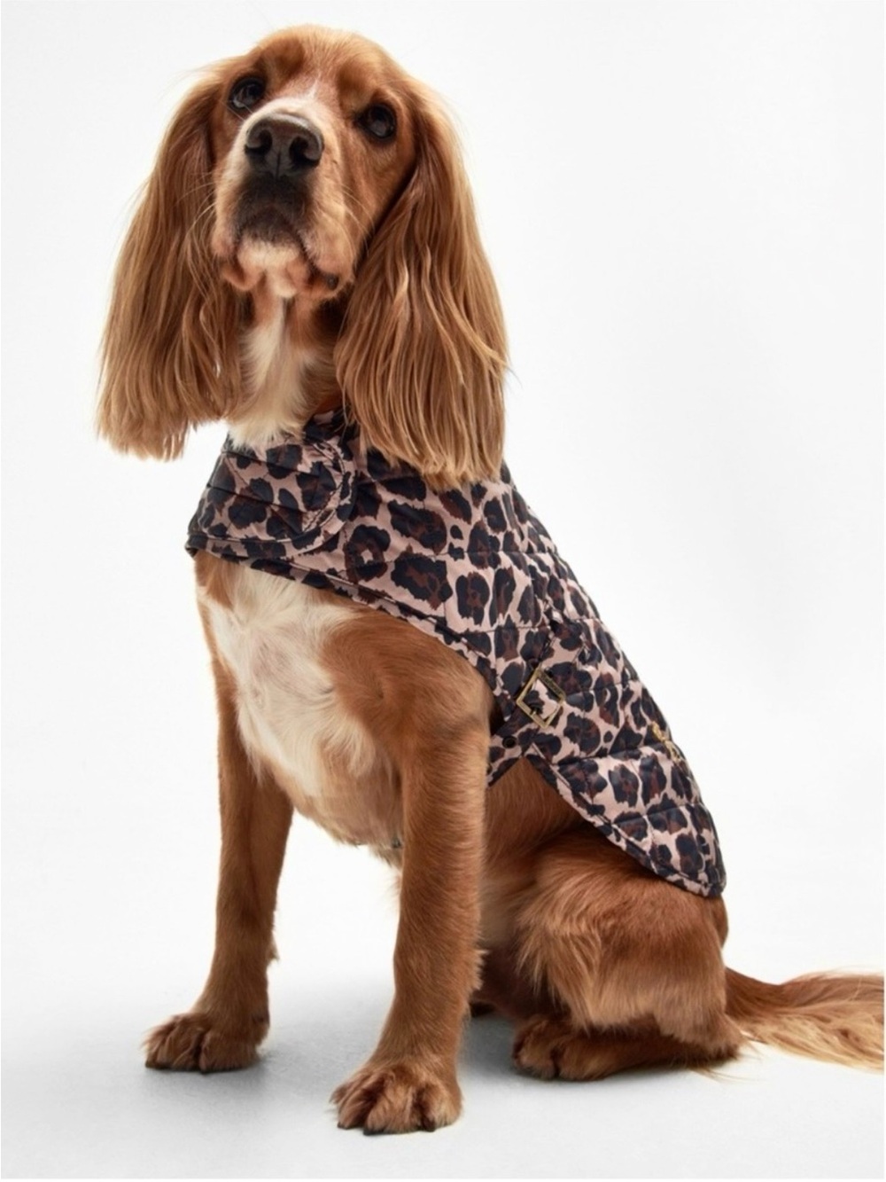 NWT Barbour  Leopard-Print All Season Quilted  Dog Coat